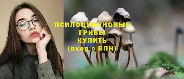 МДПВ Абдулино